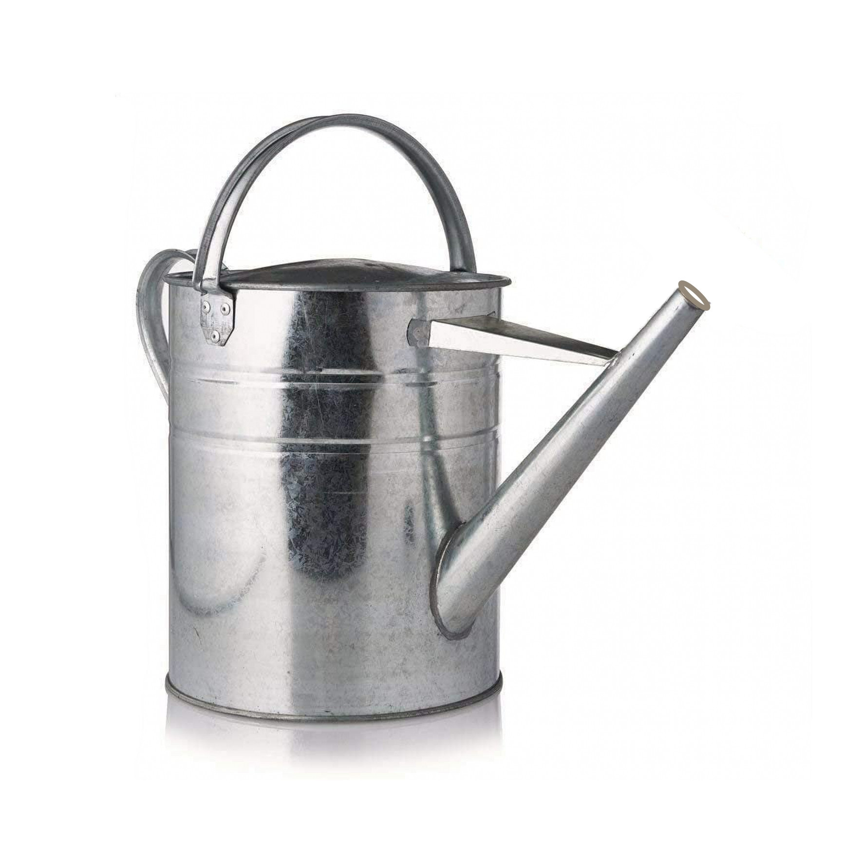 FS Galvanised Watering Can 10ltr Floorstock Ltd